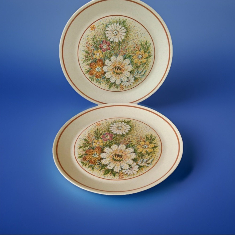 (2) vtg TemperWare by Lenox Magic GardenDinner Plates 10,3/8in mint/EUC